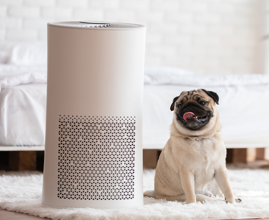 Are some portable air conditioning systems much worse for the environment than others?