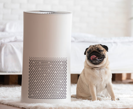 Are some portable air conditioning systems much worse for the environment than others?