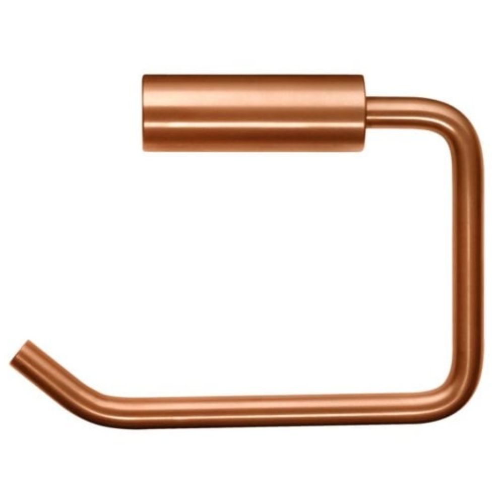 Stainless Steel Single Toilet Roll Holder with Concealed Fixings TSL.45