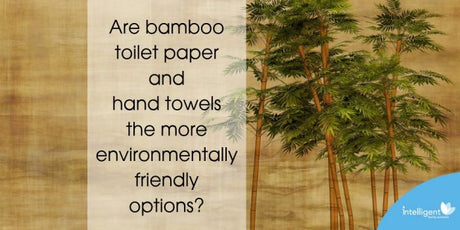 Are bamboo toilet paper and hand towels the more environmentally friendly options?