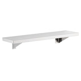 B-295x16 Bathroom Wall Shelf (125W x 405L)