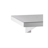 B-298x18 Stainless Steel Shelf (205W x 455L)