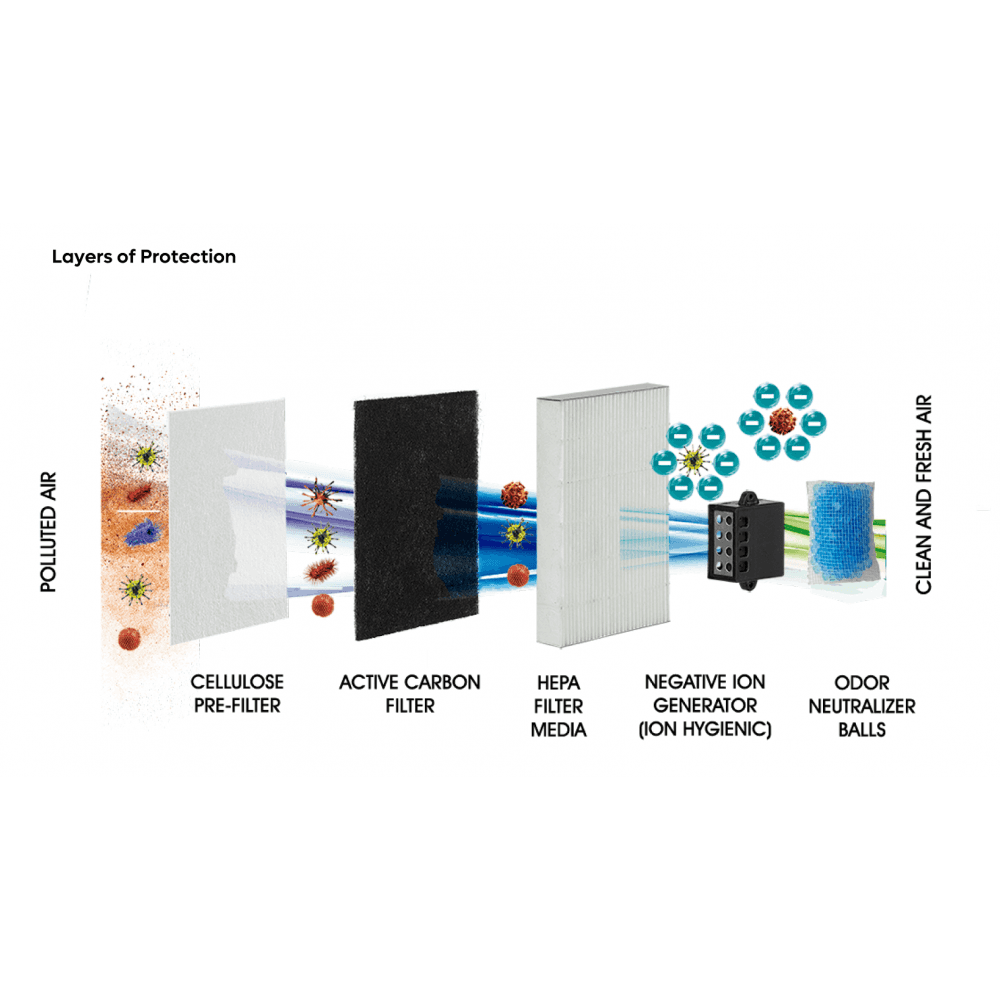 Sèche-mains sans balais Machflow Plus avec filtre HEPA et ioniseur M19A