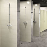 794450 DELABIE TEMPOMIX 3 Time Flow Shower Kit