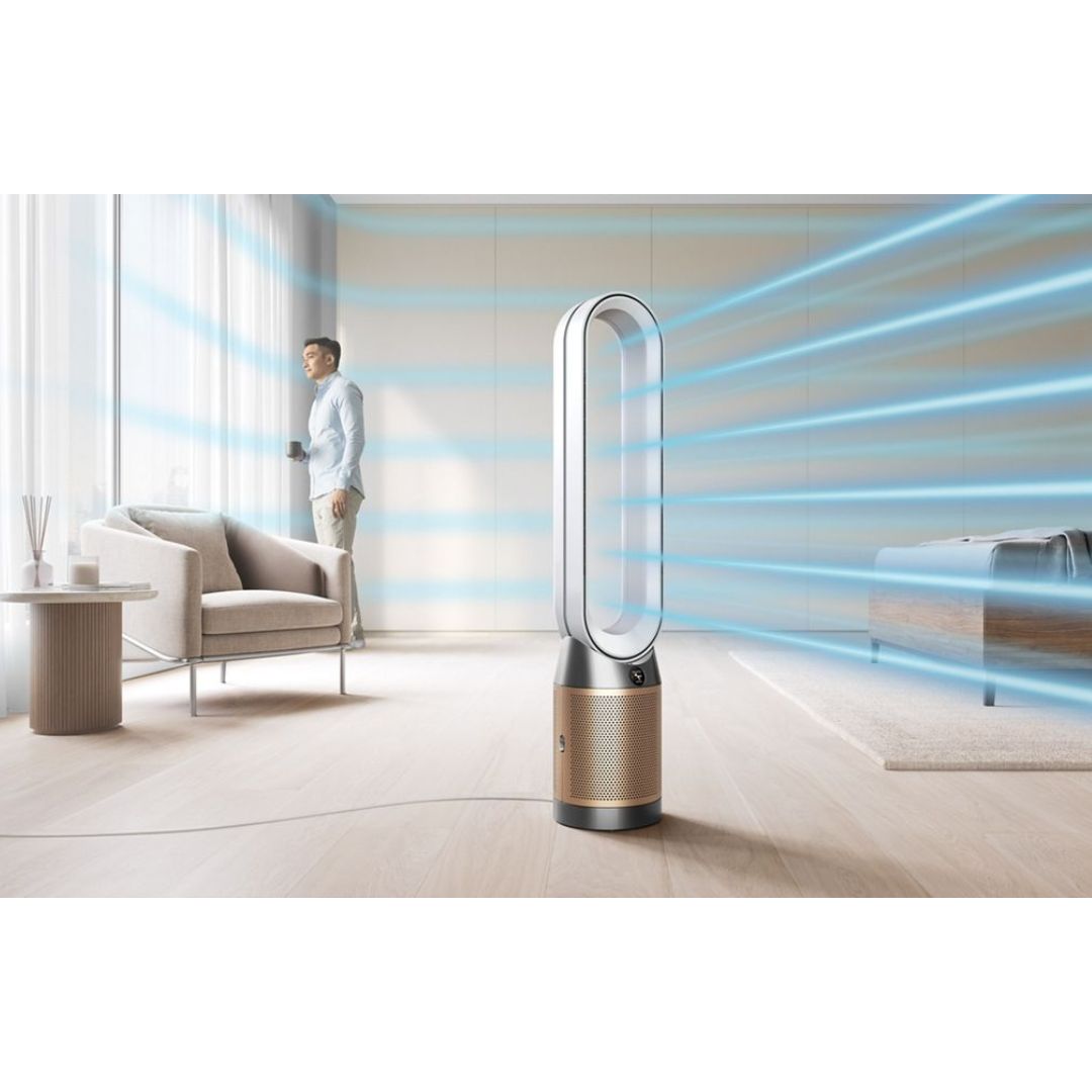 Dyson Purifier Cool PC2 De-NOx Purifying fan (White/Gold)