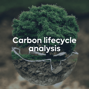 Carbon lifecycle analysis